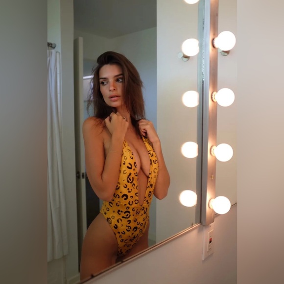 iNAMORATA Other - Inamorata Grandview One-Piece in Wet Leopard